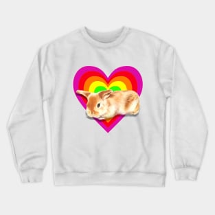 Gorgeous baby satin mini lop in a heart design! Crewneck Sweatshirt